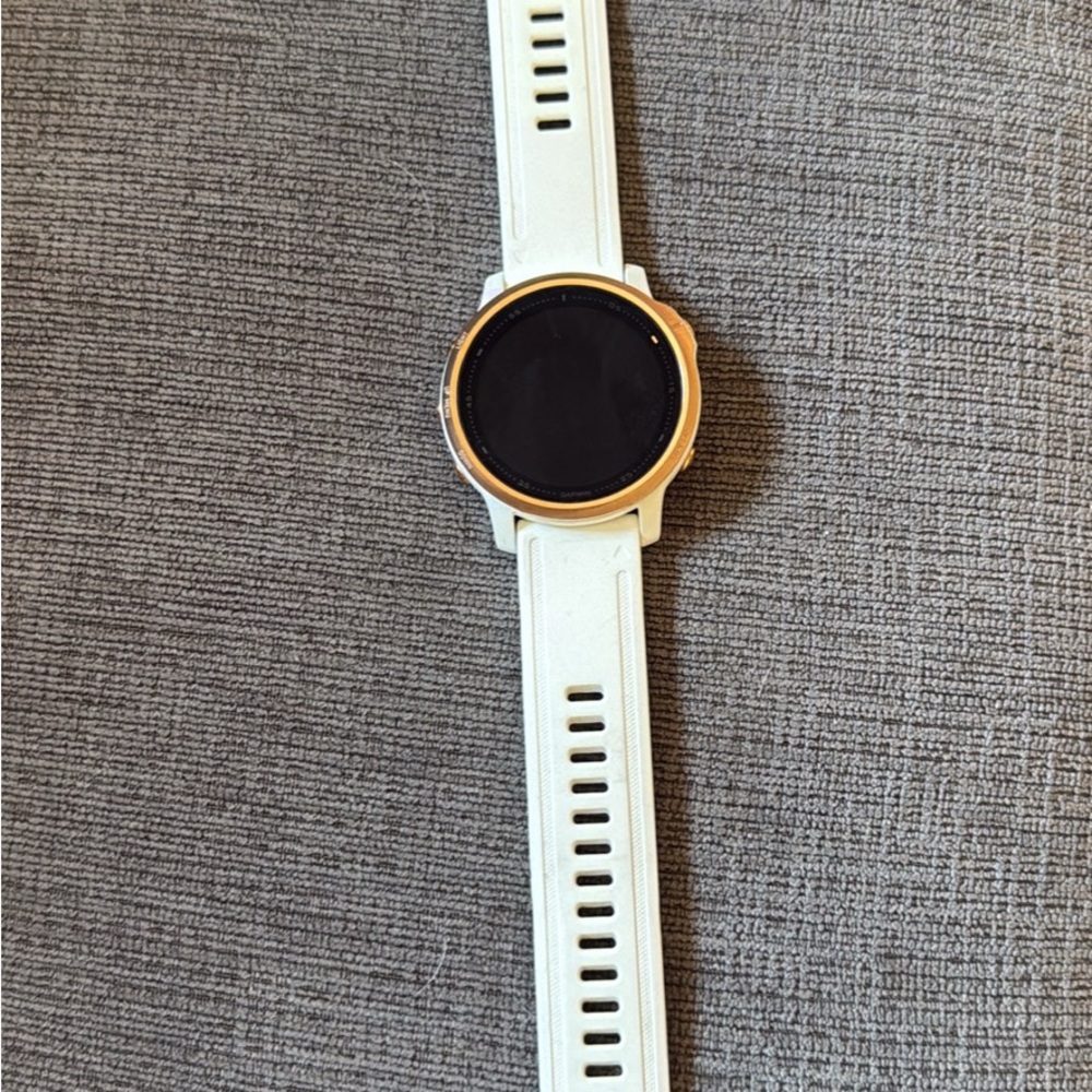 Garmin fenix 6S pro! 
Gold and White Smartwatch